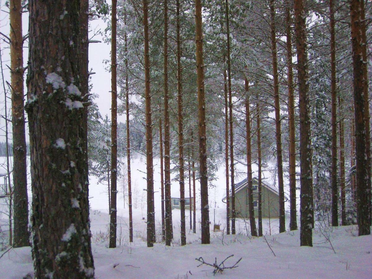 Gerika 1 Villa Enonkoski Екстериор снимка